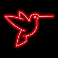 Neon red outline of hummingbird on a black background. One object. Vector icon illustration