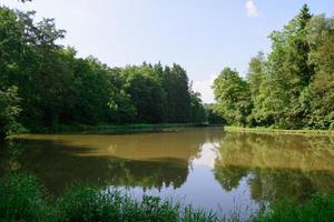 Forest lake in summer photo