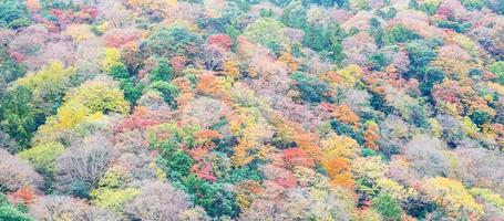 Beautiful colorful leaves mountains background, fall autumn season. Arashiyama, Kyoto, Japan photo