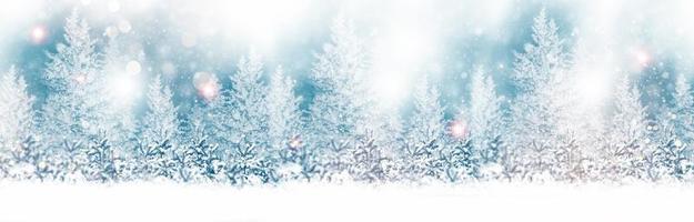 Frozen winter forest with snow covered trees. photo