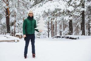 Smiling glad middle aged male with stubble, holds white winter artificial fir tree, spends Saturday morning in winter forest, breathes fresh air, admires beautiful landscapes. Wonderful scenery photo