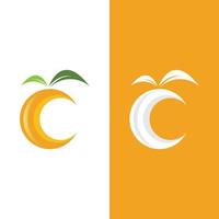 Orange logo design vector