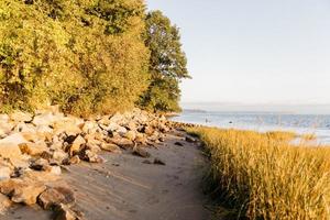 Grassy coastal view photo