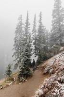 Foggy woods with snow photo