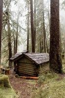 Cabin in the woods photo