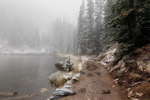 Foggy woods with snow photo