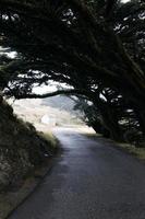 Point Reyes National Seashore photo