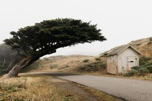 costa nacional de point reyes foto