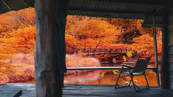 regn på ett hus i skogen i oktober. video