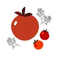 Tomato and dill vector