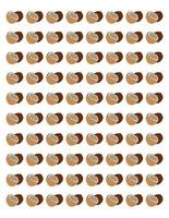 coconuts background backdrop texture vector