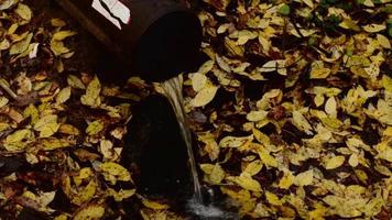 Wasser fließt aus einem Rohr auf gelben Herbstblättern. video