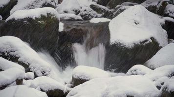 Arroyo de 8k en el bosque nevado. video