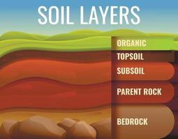 Soil ground land infographic, cartoon style vector