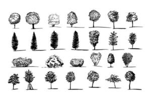 diferentes tipos de conjunto de bocetos de vectores de árboles. arboles dibujados a mano