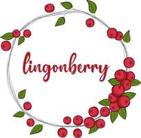 Cartoon lingonberry hoop with berries and leaves vector