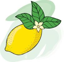 Bright juicy lemon with twigs vector