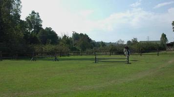 Pferde-Reiten. Springen mit einem Pferd. video