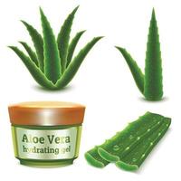 Aloe icons set, realistic style vector