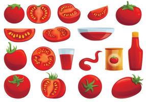 Tomato icons set, cartoon style vector