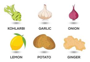 Vegetable icons set vector illustration. Collection of farm products for restaurant menus.