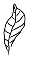 ISOLATED ON A WHITE BACKGROUND CONTOUR DRAWING OF A PLANT LEAF vector