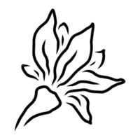 ISOLATED ON A WHITE BACKGROUND CONTOUR DRAWING OF A FLOWERING LILY vector