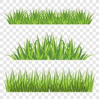 Grass Elements on Transparent Background vector