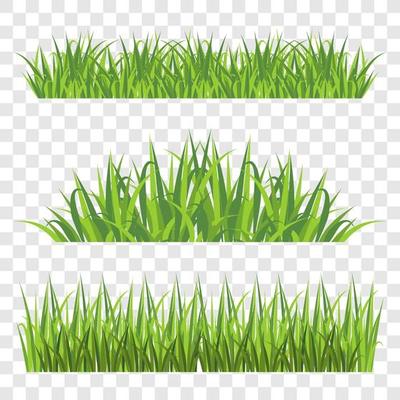 Grass Elements on Transparent Background