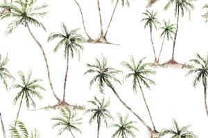 Seamless pattern coconut tree drawing watercolor.Tropical vintage palm trees  and sea for design fabric patterns and wallpapers.Patterns botanical for summer. vector