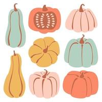 Set with hand drawn pastel pumpkin in cartoon style. Flat icons set of pumpkins and squash. Autumn collection for thanksgiving, harvest and halloween. Vector Illustration
