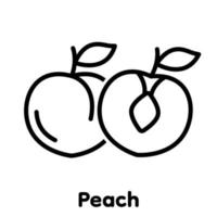 Peach linear icon, Vector, Illustration. vector