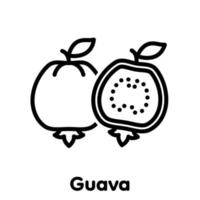 icono lineal de fruta de guayaba, vector, ilustración. vector