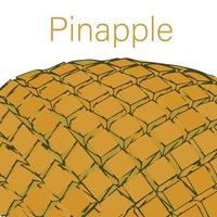 Pinapple Fruit texture for background and vector