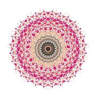 Ornamental round pattern. colorful mandala on white background. Vector illustration.