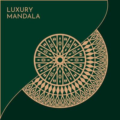 Luxury mandala background with golden elements vector in illustration Premium Vector