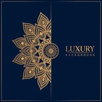 Luxury mandala background with golden elements vector in illustration