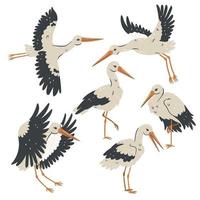 Set of storks isolated on white background. Vector graphics.