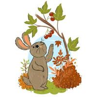 A cute rabbit is picking autumn berries. vector