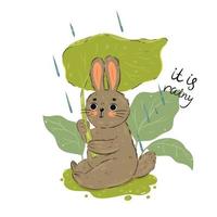 Cute rabbit with a big leaf in its paws. vector