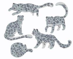 Set of cute snow leopards isolated on white background. vector