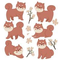 conjunto de shiba inu y flores aisladas sobre fondo blanco. gráficos vectoriales vector