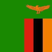 Zambia flag, official colors. Vector illustration.
