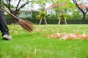 Worker sweeps dry leafs in garden. photo