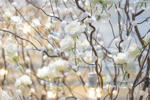 fondo de rosa blanca y telón de fondo en la decoración rama acogedora y luz cálida. foto