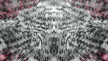 Abstract grunge symmetric black and white alien pattern video
