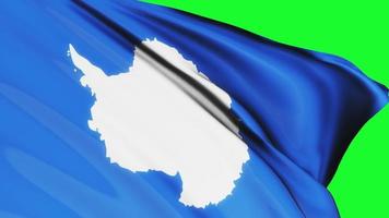 boucle du drapeau de l'antarctique agitant sur un écran vert video