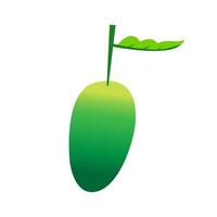 Fresh mango isolated on white background. Vector illustration.