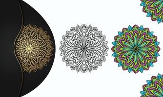 Colorful mandala with luxury background vector