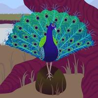 pavo real en una ilustración de vector de árbol